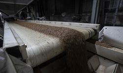 Ukrayna, tahıl ithalatını yasaklayan AB ülkelerine dava açmaya hazırlanıyor