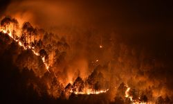 Avustralya'nın Yeni Güney Galler eyaletinde dün 85 yangın çıktı