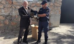 Elazığ'da yaralı bulunan 2 baykuş koruma altına alındı