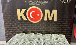 İzmir'de piyasaya sahte döviz sürmeye çalışan 2 kişi yakalandı