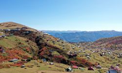Trabzon-Giresun sınırındaki Sis Dağı'nda güz zamanı