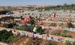 Belediye mezarlığında temizlik ve çevre düzenlemesi yapılıyor