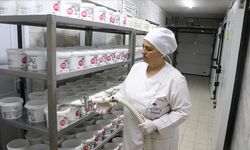 Anadolu mandasının sütü katma değer kazanıyor
