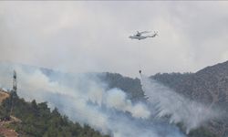 Hatay'daki orman yangınının sigara izmaritinden kaynaklandığı öne sürüldü