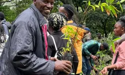 Kenyalılar 100 milyon fidan dikmek için ağaç dikme tatiline çıktı