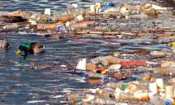 PepsiCo'ya New York eyaleti plastik kirliliği nedeniyle dava açtı