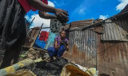 Kenya kömür satıcılarının zorlu mesaisi