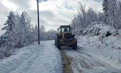 Trabzon ve Rize'de kar nedeniyle ulaşım sağlanamıyor