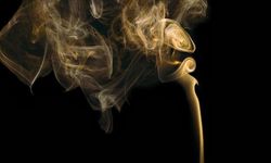 Pasif sigara içiciliği akciğer kanseri riskini artırıyor
