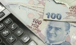 Kamu alacakları için gecikme zammı oranı yüzde 3,5 oldu