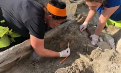 Batı Norveç'te tarımın gelişimini gösteren 4 bin yıllık mezar keşfedildi