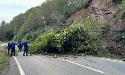 Artvin-Ardahan kara yolunda ulaşım heyelan nedeniyle tek şeritten sağlanıyor