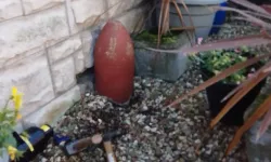 Milford Haven: Bahçe süsü canlı bombaya dönüştü