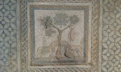 Antik Prusias ad Hypium'da aslanları tasvir eden mozaik keşfi
