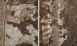Türkiye'de muazzam Roma mozaikleri bulundu