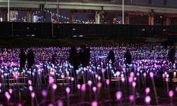 Bruce Munro'nun 'Işık Tarlası' gösterisi ziyarete açıldı