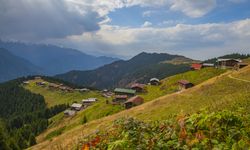 Yaylalarıyla ünlü Rize, misafirlerini bekliyor