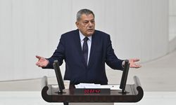 CHP'li Ocaklı, vatandaşın hastanelerden randevu alamamaktan şikayetçi olduğunu söyledi