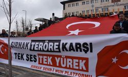 Şırnak'ta sivil toplum kuruluşlarından terör örgütü PKK'ya tepki