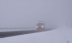 Kars ve Ardahan'da sis ulaşımı aksattı