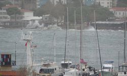 Gelibolu-Lapseki hattında seferler sis nedeniyle geçici olarak durduruldu