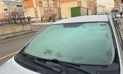 Erzurum ve Kars’ta araç camları buz tuttu, bitkiler kırağıyla kaplandı