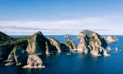 Yeni Zelanda: İnsan saatinin yansıması okyanusta her gün kurtarmaya yol açıyor