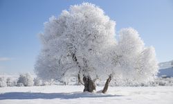 Tunceli'de kış