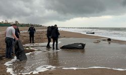 Antalya'da sahilde ceset bulundu