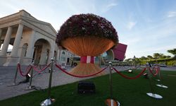 Dünyanın en büyük doğal buketi Doha'da sergileniyor