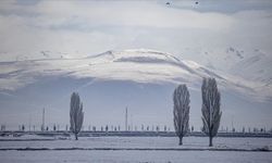 Erzurum, Ardahan, Tunceli ve Kars'ta dondurucu soğuklar hakim