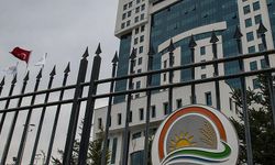 Türk Gıda Kodeksi'nden aroma verici 22 madde çıkarıldı