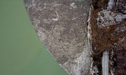 Bosna Hersek'teki Drina Nehri "ekolojik felaket sinyali" veriyor