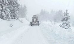 Kastamonu'da 196 köy yolu kar nedeniyle ulaşıma kapandı