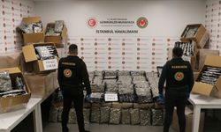 İstanbul Havalimanı ve Kapıkule'de uyuşturucu, Hamzabeyli'de kaçak çay ele geçirildi