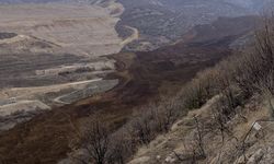 Erzincan'da altın madeninin bulunduğu bölgede toprak kayması meydana geldi