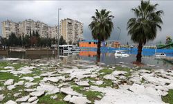 Ticaret Bakanı Bolat: Antalya'da selden etkilenen esnafa 100 milyon lira ilave destek sağlıyoruz