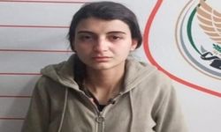 Suriye'den Türkiye'ye sızmaya çalışan PKK'lı kadın terörist yakalandı