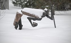 Moskova'daki Muzeon Sanat Parkı