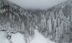 Karla kaplanan Kastamonu ormanları dron ile görüntülendi