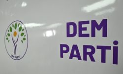 DEM Parti'den YSK'ye Van itirazı