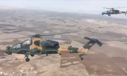 "Bozdoğan-19" operasyonlarında teröristlere ait 22 mağara ve barınma alanı imha edildi