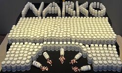 Malatya'da kargo paketinde 28 bin 177 sentetik ecza ele geçirildi
