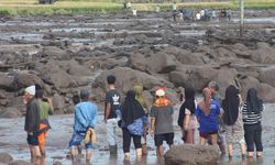 Endonezya'da heyelan ve sel nedeniyle can kaybı 41'e yükseldi