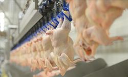 Beyaz et sektöründeki 4 firmaya para cezası!