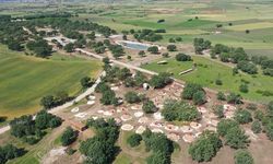 Musabeyli Korusu Edirne'nin yeni cazibe merkezi olacak