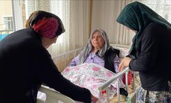 Saldırdığı yaşlı kadının bacağının kesilmesine neden olan pitbullun sahiplerine hapis cezası
