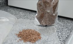 Kayısı çekirdeği kabuğundan biyoplastik üretildi