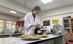 Ortaokul öğrencisi, bitki özlerinden ekmeğin küflenmesini geciktiren katkı maddesi ürettiZonguldak'ta ortaokul öğrencisi