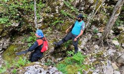 Kastamonu'da kaybolan kişinin bulunması için çalışma yapılıyor